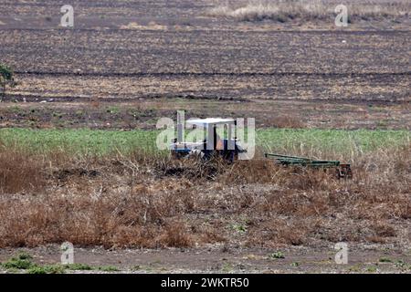 Zumpango de Ocampo, Mexique. 21 février 2024. Un agriculteur laboure la terre sur un tracteur à l'intérieur de la zone touchée de la lagune de Zumpango touchée par la sécheresse en raison du manque de pluie. Le 21 février 2024 à Zumpango de Ocampo, Mexique (image crédit : © Luis Barron/eyepix via ZUMA Press Wire) USAGE ÉDITORIAL SEULEMENT! Non destiné à UN USAGE commercial ! Banque D'Images