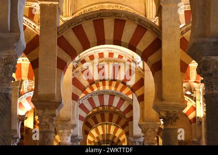 © Sylvestre/MAXPPP - cordoue, Espagne. 21 février 2024. ; mezquita-mosquée-cathédrale - Cordoue, Espagne fév 2024 crédit : MAXPPP/Alamy Live News Banque D'Images