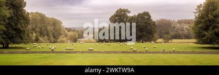 Vue panoramique depuis les pelouses de Newby Hall regardant vers l'ouest vers l'ha-ha et le parc au-delà. Yorkshire du Nord. ROYAUME-UNI Banque D'Images