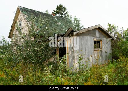 Maison abandonnée, South Rustico, Île-du-Prince-Édouard, Canada Banque D'Images