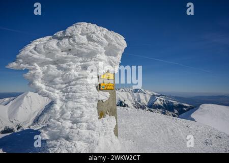 Randonnée au sommet de Baranec dans les Tatras occidentales en hiver avec vue sur Krivan. Banque D'Images