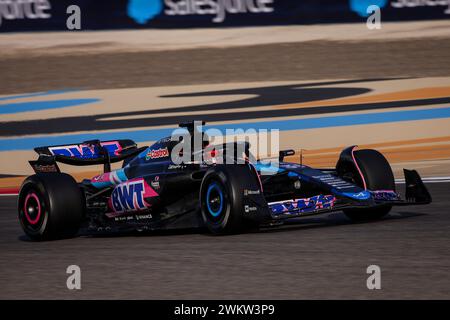 Sakhir, Bahreïn. 22 février 2024. 31 OCON Esteban (fra), Alpine F1 Team A524, action lors des essais de pré-saison de formule 1 Aramco 2024 du Championnat du monde FIA de formule 1 2024 du 21 au 23 février 2024 sur le circuit International de Bahreïn, à Sakhir, Bahreïn - photo DPPI F1 essais de pré-saison à Bahreïn sur le circuit International de Bahreïn le 22 février 2024 à Sakhir, Bahreïn. (Photo de HOCH Zwei) crédit : dpa/Alamy Live News Banque D'Images