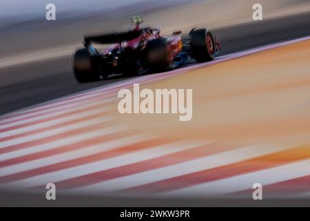 Sakhir, Bahreïn. 22 février 2024. 55 SAINZ Carlos (spa), Scuderia Ferrari SF-24, action lors des essais de pré-saison de formule 1 Aramco 2024 du Championnat du monde FIA de formule 1 2024 du 21 au 23 février 2024 sur le circuit International de Bahreïn, à Sakhir, Bahreïn - photo DPPI F1 essais de pré-saison à Bahreïn sur le circuit International de Bahreïn le 22 février 2024 à Sakhir, Bahreïn. (Photo de HOCH Zwei) crédit : dpa/Alamy Live News Banque D'Images