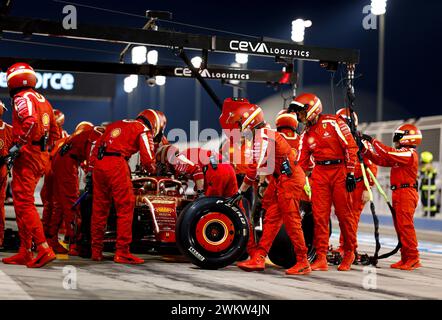 Sakhir, Bahreïn. 22 février 2024. Essais de pré-saison F1 à Bahreïn sur le circuit international de Bahreïn le 22 février 2024 à Sakhir, Bahreïn. (Photo de HOCH Zwei) crédit : dpa/Alamy Live News Banque D'Images