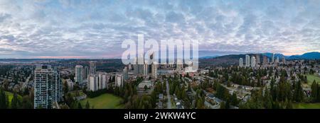 L'horizon de la ville avec ses gratte-ciel imposants, sa végétation luxuriante et son ciel ouvert Banque D'Images
