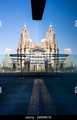 Liverpool, Royaume-Uni 12 février 2024 : le bâtiment du foie se reflète dans les fenêtres en verre du Musée de Liverpool. Banque D'Images