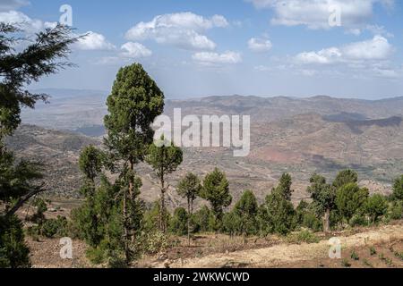 Dans les hauts plateaux de l'Abyssinie, village dans les montagnes Semien, scène de rue, Ethiopie Banque D'Images