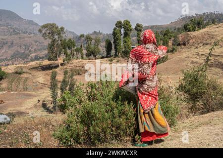 Dans les hauts plateaux de l'Abyssinie, village dans les montagnes Semien, scène de rue, Ethiopie Banque D'Images