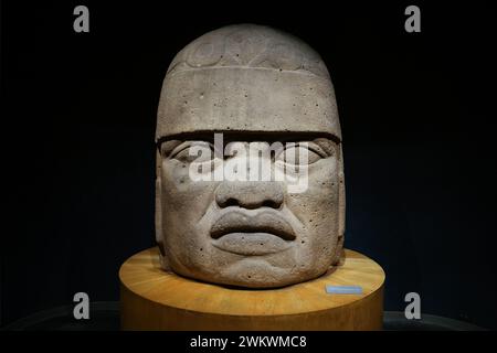 Tête colossale olmèque au Musée national d'anthropologie de Mexico, Mexique. Banque D'Images