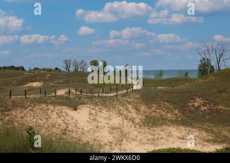 De hautes herbes poussant sur des collines de dunes de sable, le long du sentier de la promenade en cordale des dunes de Kohler, en face du lac Michigan, dans la zone naturelle du parc d'État de Kohler Dunes Banque D'Images