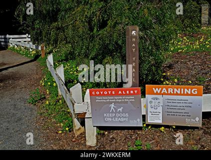 Dry Creek Regional Park, alerte coyote et panneaux d'avertissement pour champignons toxiques à Union City, Californie Banque D'Images