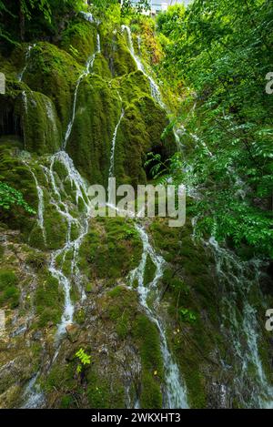 L'eau coulant dans des rivulets vers le bas d'un visage de montagne moussue, la nature, spectacle naturel, l'eau, coulant, liquide, frais, propre, environnement, vert, forêt Banque D'Images