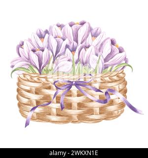 Bouquet printanier de crocus violets dans un panier en osier vintage. Illustration aquarelle de fleurs. Bouquet floral isolé dessiné à la main. Dessin botanique Banque D'Images