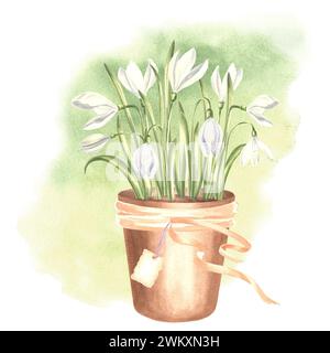 Gouttes de neige blanches dans un pot de fleur en argile avec des rubans et étiquette, illustration aquarelle. Main isolée dessinée d'primevre printanière. Modèle de dessin botanique f Banque D'Images