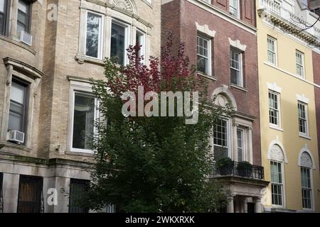 Une ligne de maisons avec des arbres devant un grand bâtiment avec de nombreuses fenêtres Banque D'Images