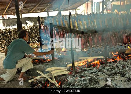 Un travailleur maintient la distribution égale des coques de noix de coco qui sont utilisées comme combustible pour fumer des viandes de thon listao dans une industrie domestique à Bitung, Sulawesi du Nord, en Indonésie. Les contributions des connaissances autochtones à l'innovation technologique offrent un large éventail d'options pour la gestion, entre autres, de la sécurité alimentaire, selon le rapport de 2023 du Groupe d'experts intergouvernemental sur l'évolution du climat (GIEC). Populairement connu sous le nom de cakalang fufu, le thon fumé est considéré comme un aliment indigène exotique et pourrait devenir une solution alternative pour faire face aux impacts du changement climatique sur l’océan. Banque D'Images