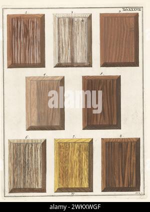 Amaranthus foncé 1, Bignonia catalpa 2, amaranthus clair 3, Cariopulades Wood 4, colletepi 5, cactus péruvien 6, bois bimas du Brésil 7 et ébène 8. Gravure sur cuivre colorée à la main par Jan Christian Sepp des icones Lignorum exoticorum et nostratium de Martinus Houttuyn : Wood Science, Representations of Native and Exotic Woods, J.C. Sepp, Amsterdam, Hollande, 1773. Banque D'Images