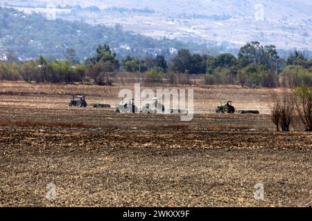 Le lac Zumpango en sécheresse en raison de l'absence de pluie 21 février 2024, Zumpango de Ocampo, Mexique : un agriculteur laboure la terre sur un tracteur à l'intérieur de la zone touchée de la lagune de Zumpango affectée par la sécheresse en raison de l'absence de pluie. Zumpango de Ocampo État du Mexique Copyright : xLuisxBarronxxxEyepixxGroupx Banque D'Images