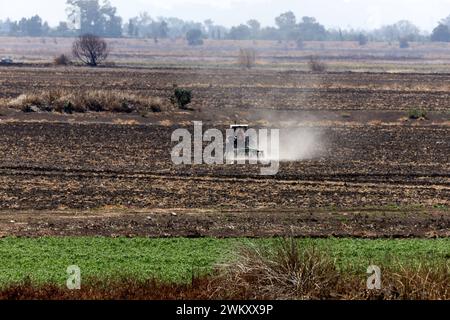 Le lac Zumpango en sécheresse en raison de l'absence de pluie 21 février 2024, Zumpango de Ocampo, Mexique : un agriculteur laboure la terre sur un tracteur à l'intérieur de la zone touchée de la lagune de Zumpango affectée par la sécheresse en raison de l'absence de pluie. Zumpango de Ocampo État du Mexique Copyright : xLuisxBarronxxxEyepixxGroupx Banque D'Images