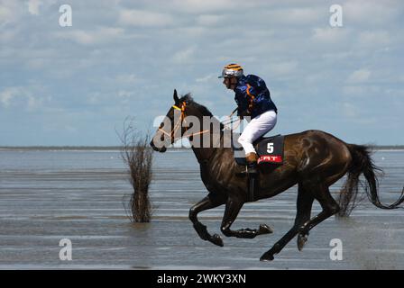 Course de vasières de chevaux unique à Duhnen, en Allemagne, sur la côte de la mer du Nord Banque D'Images