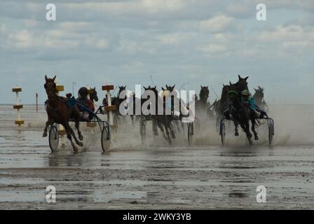 Course de vasières de chevaux unique à Duhnen, en Allemagne, sur la côte de la mer du Nord Banque D'Images