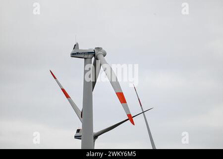 Dornstadt, Allemagne. 23 février 2024. Seulement deux pales de rotor peuvent être vues sur une éolienne près de Temmenhausen sur la route 8. La turbine a probablement été endommagée par la tempête Wencke le 22 février. Les restes de la pale d'éolienne de 40 mètres de long et de 15 tonnes se trouvent dans un champ. Crédit : Marius Bulling/dpa/Alamy Live News Banque D'Images