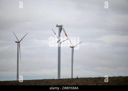 Dornstadt, Allemagne. 23 février 2024. Seulement deux pales de rotor peuvent être vues sur une éolienne près de Temmenhausen sur la route 8. La turbine a probablement été endommagée par la tempête Wencke le 22 février. Les restes de la pale d'éolienne de 40 mètres de long et de 15 tonnes se trouvent dans un champ. Crédit : Marius Bulling/dpa/Alamy Live News Banque D'Images