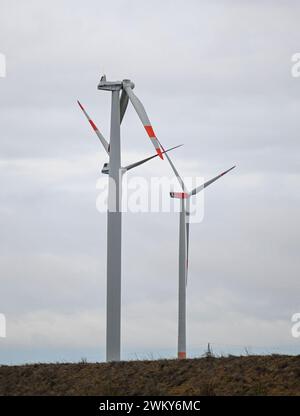 Dornstadt, Allemagne. 23 février 2024. Seulement deux pales de rotor peuvent être vues sur une éolienne près de Temmenhausen sur la route 8. La turbine a probablement été endommagée par la tempête Wencke le 22 février. Les restes de la pale d'éolienne de 40 mètres de long et de 15 tonnes se trouvent dans un champ. Crédit : Marius Bulling/dpa/Alamy Live News Banque D'Images