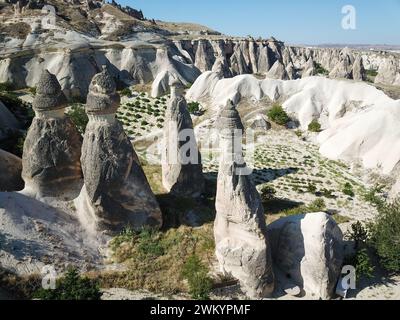 Prise de vue aérienne par drone des cheminées de fées au-dessus du paysage de Goreme, Cappadoce. Photo de haute qualité Banque D'Images