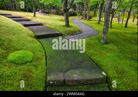 Moss Garden, Hakone Museum of Art, Hakone, Kanagawa, Japon Banque D'Images