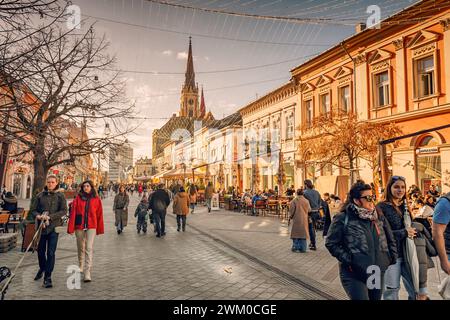 04 janvier 2024, Novi Sad, Serbie : rues historiques de Novi Sad, Serbie, où la majestueuse cathédrale se dresse, invitant les touristes à explorer son parcours Banque D'Images