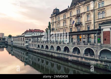 Slovénie, Ljubljana, rivière Ljubljanica et bâtiment du marché central à l'aube Banque D'Images