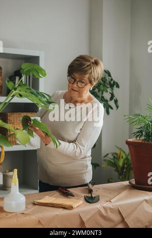 Femme senior nettoyant la feuille de monstera à la maison Banque D'Images