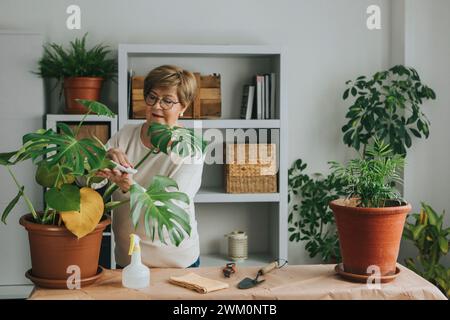 Femme âgée faisant du jardinage à la maison Banque D'Images