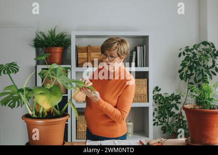 Femme senior examinant la plante monstera à la maison Banque D'Images