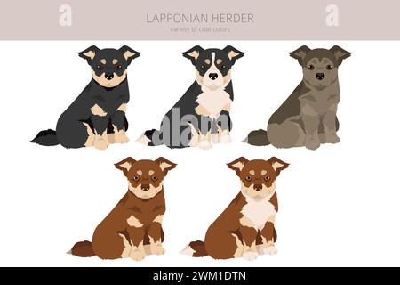 Clipart lapponien de chiot Herder. Différentes poses, couleurs de manteau définies. Illustration vectorielle Illustration de Vecteur