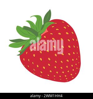 Fraise. Baies rouges sucrées. Illustration vectorielle plate dessinée à la main isolée sur blanc. Illustration vectorielle Illustration de Vecteur