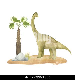 Illustration aquarelle d'un diplodocus de dinosaure sur du sable avec des palmiers, texture aquarelle, fait à la main, isolé. Pour la décoration des chambres d'enfants, affiche Banque D'Images