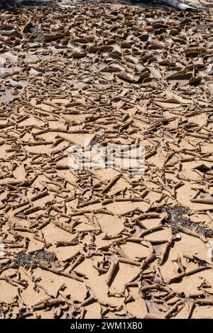 Boue séchée et sable sur une plage, Porto Rico, États-Unis Banque D'Images