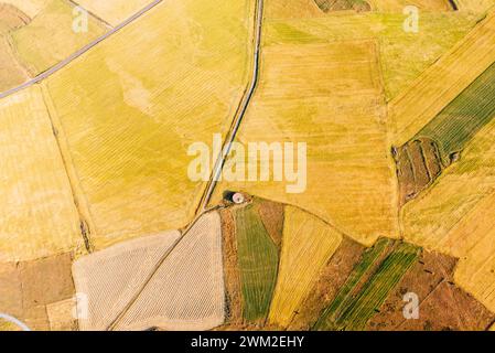 Champ juste récolté, vue aérienne. Province de Ségovie, Castilla y León, Espagne, Europe Banque D'Images