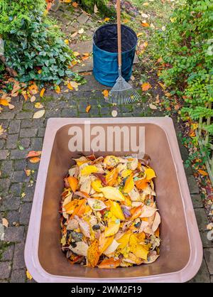 un déchet organique brun peut remplir de feuilles colorées et d'un râteau Banque D'Images