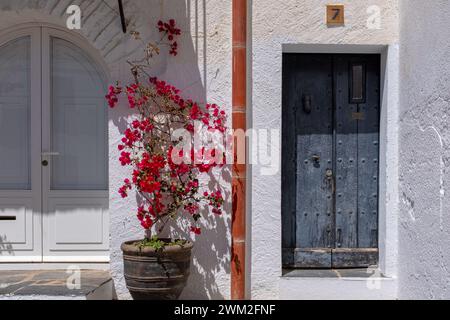 Bougainvilliers contre un mur blanc et une porte grise à Cadaques, Espagne, pris par une journée de printemps parfaitement ensoleillée sans personne. Banque D'Images