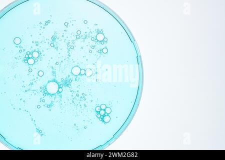 Gouttes transparentes de gel de sérum de produit cosmétique dans une boîte de Petri. Texture liquide avec bulles sur fond bleu. Produits de soin de la peau, cosmétiques naturels. Être Banque D'Images