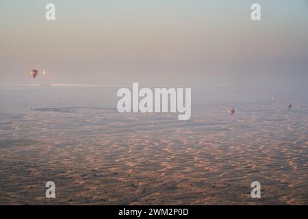 Montgolfières au-dessus du parc solaire Mohammed bin Rashid Al Maktoum, Dubaï, Émirats arabes Unis. Banque D'Images