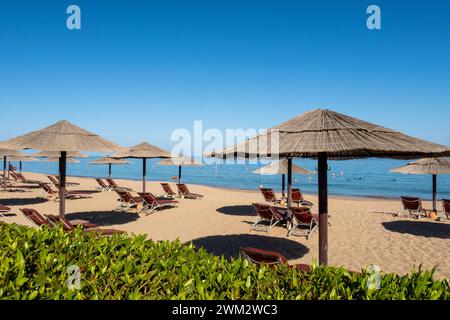 Plage de sable à Fujairah, Émirats arabes Unis, avec parasols de chaume et chaises longues, vue sur la mer et le ciel bleu, pas de gens. Banque D'Images