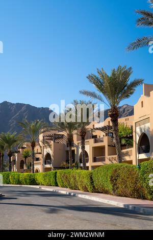 Rangée de maisons de ville modernes de style arabe, architecture résidentielle avec végétation verte et palmiers autour, Fujairah, eau Banque D'Images