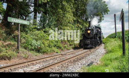 Locomotive à vapeur noire numéro 89 soufflant de la vapeur sur des voies rurales à côté du panneau « charpentiers » entouré de feuillage verdoyant. Banque D'Images