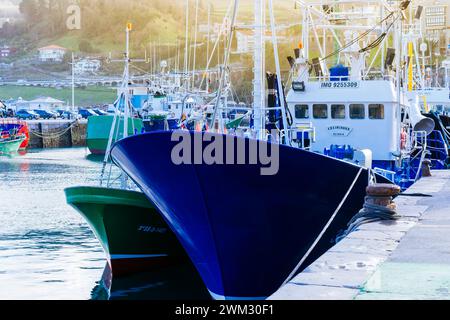 Bateau de pêche en haute mer amarré dans le port Getaria. Getaria, Guipúzcoa, País Vasco, Espagne, Europe Banque D'Images