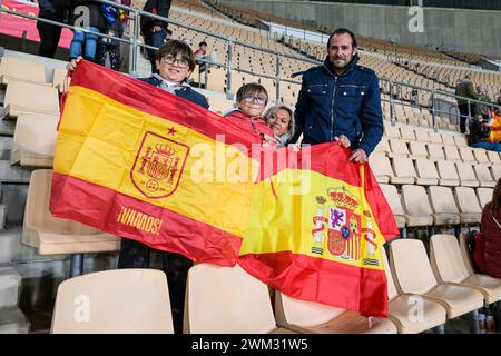 SÉVILLE - supporters espagnols lors de la demi-finale de l'UEFA Nations League entre l'Espagne et les pays-Bas à l'Estadio de la Cartuja le 23 février 2024 à Séville, Espagne. ANP GERRIT VAN COLOGNE Banque D'Images