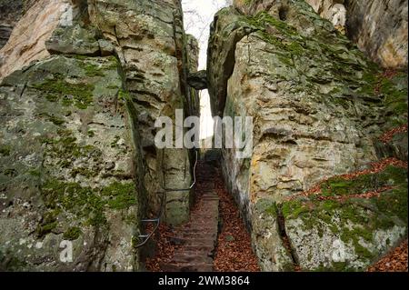 Devil gorge à l'Eifel, Teufelsschlucht avec rochers puissants et canyon, sentier de randonnée en Allemagne, formation rocheuse de grès, automne Banque D'Images